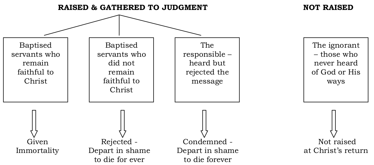 Raised to judgement