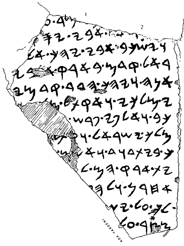 Translation