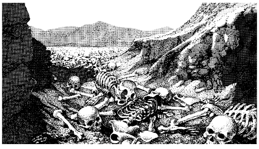Valley of dry bones